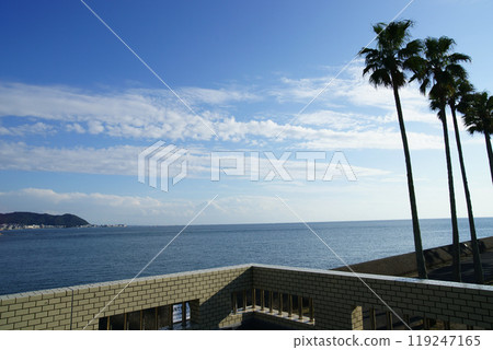 逗子市小坪海濱公園 119247165