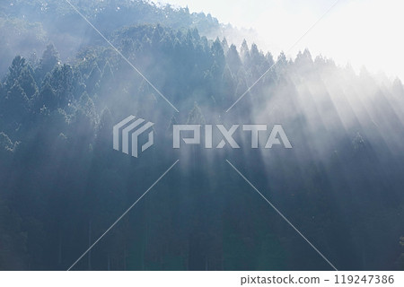 Ichijodani Asakura Clan Ruins in the morning mist 119247386