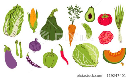 Set of different vegetables isolate on white background. Vector graphics. 119247401