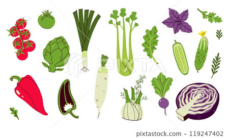 Set of different vegetables isolate on white background. Vector graphics. 119247402