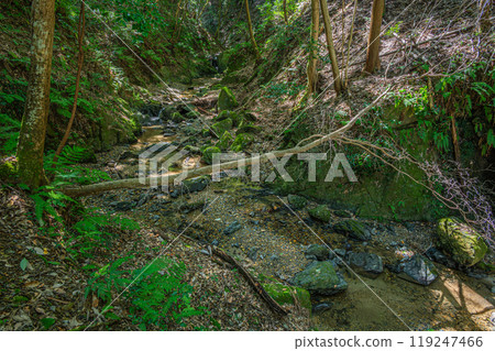 Shirakawa River, a mountain stream flowing into the Uji River, Momiji Valley, Uji City, Kyoto Prefecture 119247466