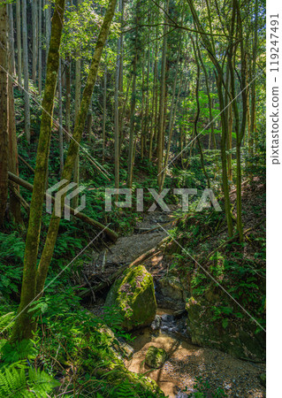 Shirakawa River, a mountain stream flowing into the Uji River, Momiji Valley, Uji City, Kyoto Prefecture Shirakawa River, a mountain stream flowing into the Uji River, Momiji Valley, Uji City, Kyoto Prefecture 119247491