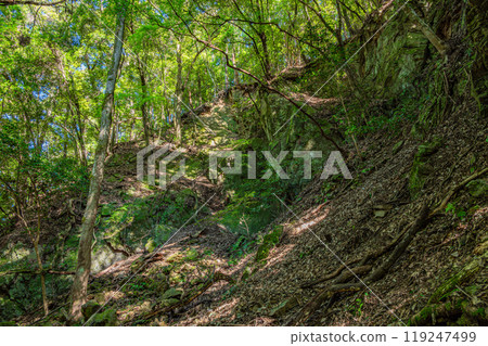 Shirakawa River, a mountain stream flowing into the Uji River, Momiji Valley, Uji City, Kyoto Prefecture Shirakawa River, a mountain stream flowing into the Uji River, Momiji Valley, Uji City, Kyoto Prefecture 119247499