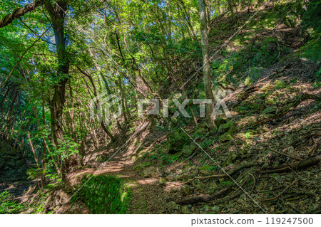Shirakawa River, a mountain stream flowing into the Uji River, Momiji Valley, Uji City, Kyoto Prefecture Shirakawa River, a mountain stream flowing into the Uji River, Momiji Valley, Uji City, Kyoto Prefecture 119247500