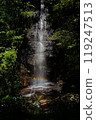 雄偉的瀑布與彩虹 119247513
