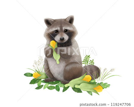 Raccoon Background A-1 Raccoon Background A-1 119247706