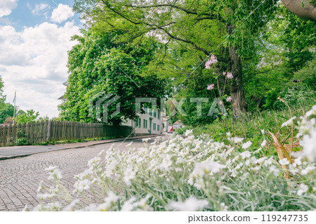 A quiet street decorated with greenery and flowers 119247735