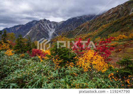 秋天tsugaike自然公園 119247790