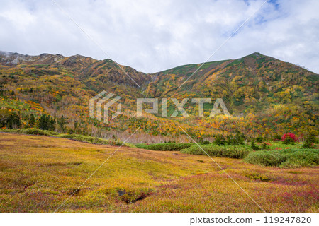 Autumn tsugaike nature park Autumn tsugaike nature park 119247820