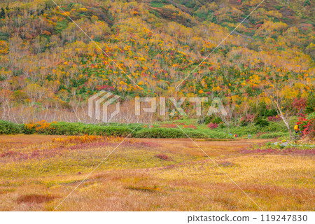 秋天tsugaike自然公園 119247830