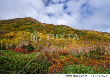 Autumn tsugaike nature park Autumn tsugaike nature park 119247871