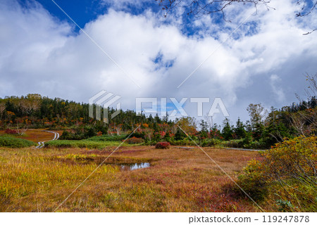 Autumn tsugaike nature park Autumn tsugaike nature park 119247878