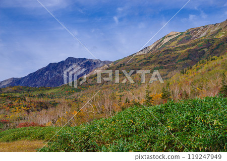 Autumn leaves of Tsugaike Nature Park 119247949
