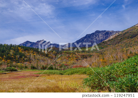Tsugaike自然公園秋葉 119247951