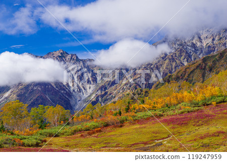 Autumn leaves of Tsugaike Nature Park 119247959