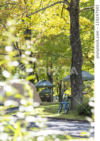 Camping and cycling image (Hiruzen Plateau) Camping and cycling image (Hiruzen Plateau) 119247985