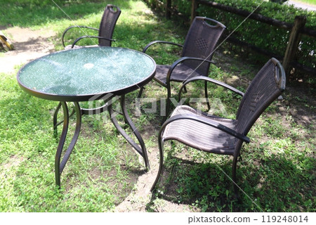 Sunlight filtering through the trees in a summer garden. A relaxing space for the afternoon. 119248014