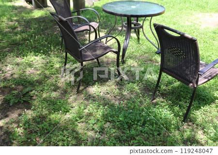 Sunlight filtering through the trees in a summer garden. A relaxing space for the afternoon. 119248047