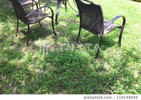 Sunlight filtering through the trees in a summer garden. A relaxing space for the afternoon. 119248048