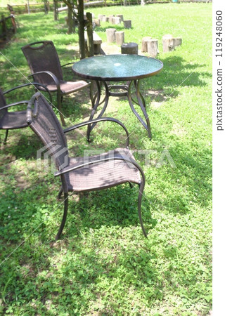 Sunlight filtering through the trees in a summer garden. A relaxing space for the afternoon. 119248060