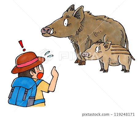 男子遭遇野豬親子 119248171