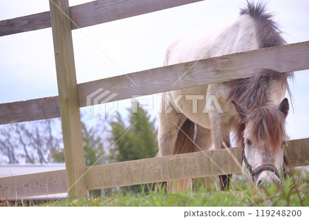Hakuba on the ranch Hakuba on the ranch 119248200