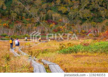 Autumn tsugaike nature park Autumn tsugaike nature park 119248353