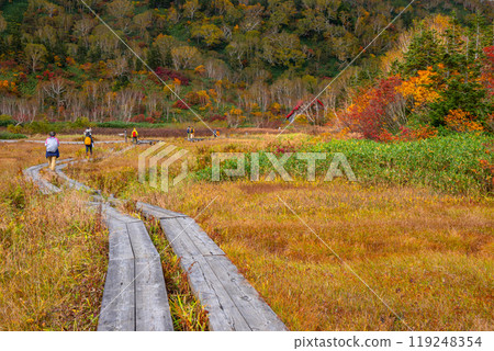 秋天tsugaike自然公園 119248354