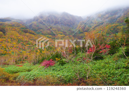 Autumn tsugaike nature park Autumn tsugaike nature park 119248360