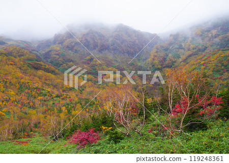 Autumn tsugaike nature park Autumn tsugaike nature park 119248361