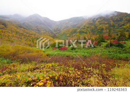 Autumn tsugaike nature park 119248363