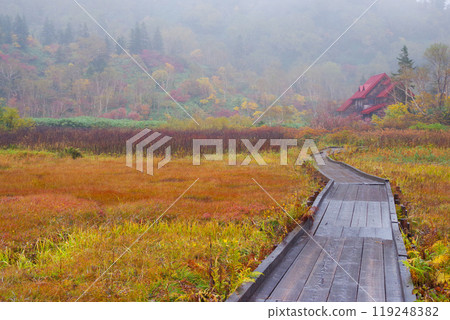 Autumn tsugaike nature park 119248382