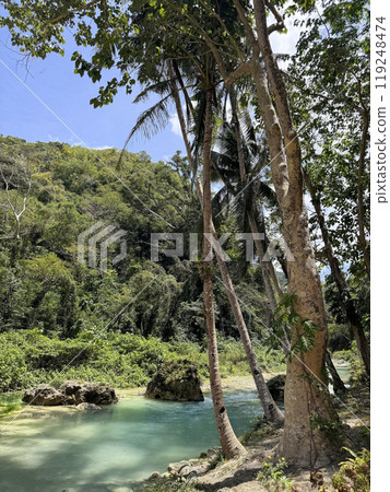 Panoramic view of jungles and river, Philippines 119248474