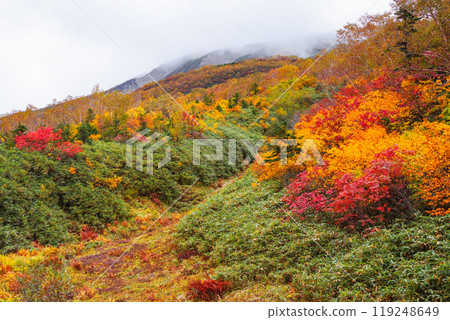 Autumn tsugaike nature park 119248649