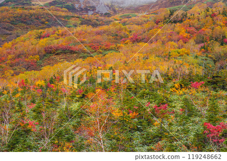 Autumn tsugaike nature park Autumn tsugaike nature park 119248662