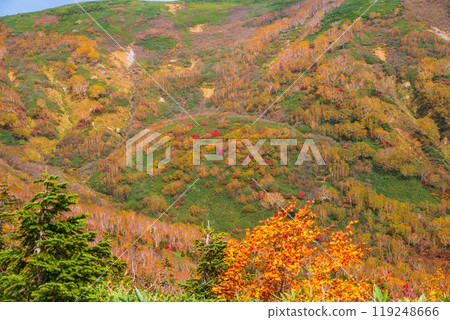 秋天tsugaike自然公園 119248666