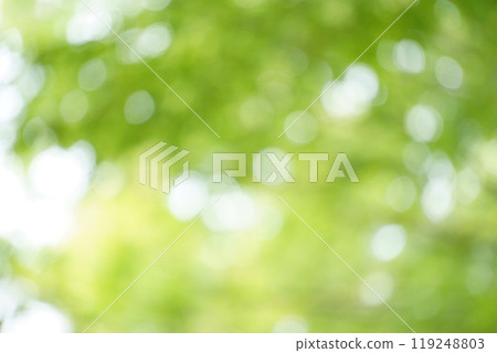 Background material: Green, bokeh 9 Background material: Green, bokeh 9 119248803