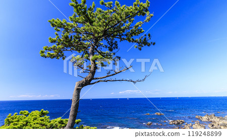 橫須賀市荒崎的秋天 119248899