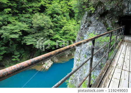 田澤湖抱溪縣立自然公園 翠綠清澈的溪流 田澤湖抱溪縣立自然公園 翠綠清澈的溪流 119249003
