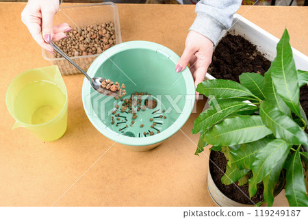 Pouring expanded clay into the bottom of a flower pot for drainage. 119249187