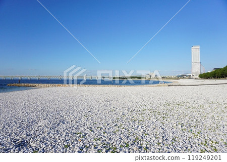 Rinku Marble Beach Rinku Marble Beach 119249201