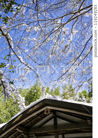 京都的藍天和融化的雪 119249265