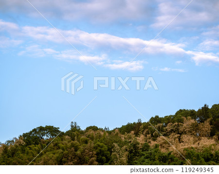 Beautiful blue sky with unusual white Altocumulus undulatus clouds and hills of trees in the bottom Beautiful blue sky with unusual white Altocumulus undulatus clouds and hills of trees in the bottom 119249345