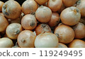 Many onions lined up at a greengrocer_1505 119249495