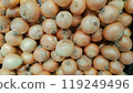 A lot of onions lined up at a greengrocer_1506 119249496
