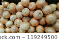 A lot of onions lined up at a greengrocer_1510 119249500