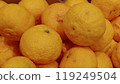 A close-up of many yuzu fruits, which are used as a hotpot accompaniment, lined up at a greengrocer's shop_1641 119249504