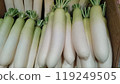 Fresh green radishes lined up at a fruit and vegetable store_1704 119249505