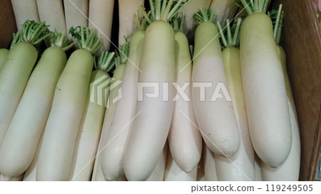 新鮮的綠頸蘿蔔在水果和蔬菜店排隊_1704 新鮮的綠頸蘿蔔在水果和蔬菜店排隊_1704 119249505