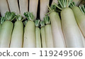 Fresh green radishes lined up at a fruit and vegetable store_1706 119249506